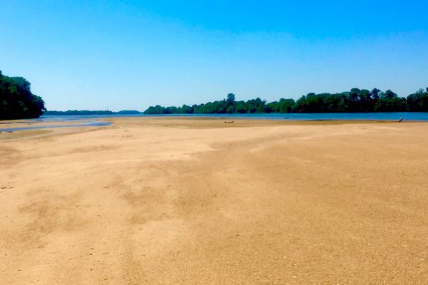Banc de sable La Loire en Kayak -TPKayak -