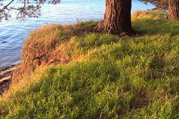 Le Golfe du Morbihan -TPKayak -