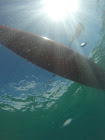 Vu de dessous -TPKayak -